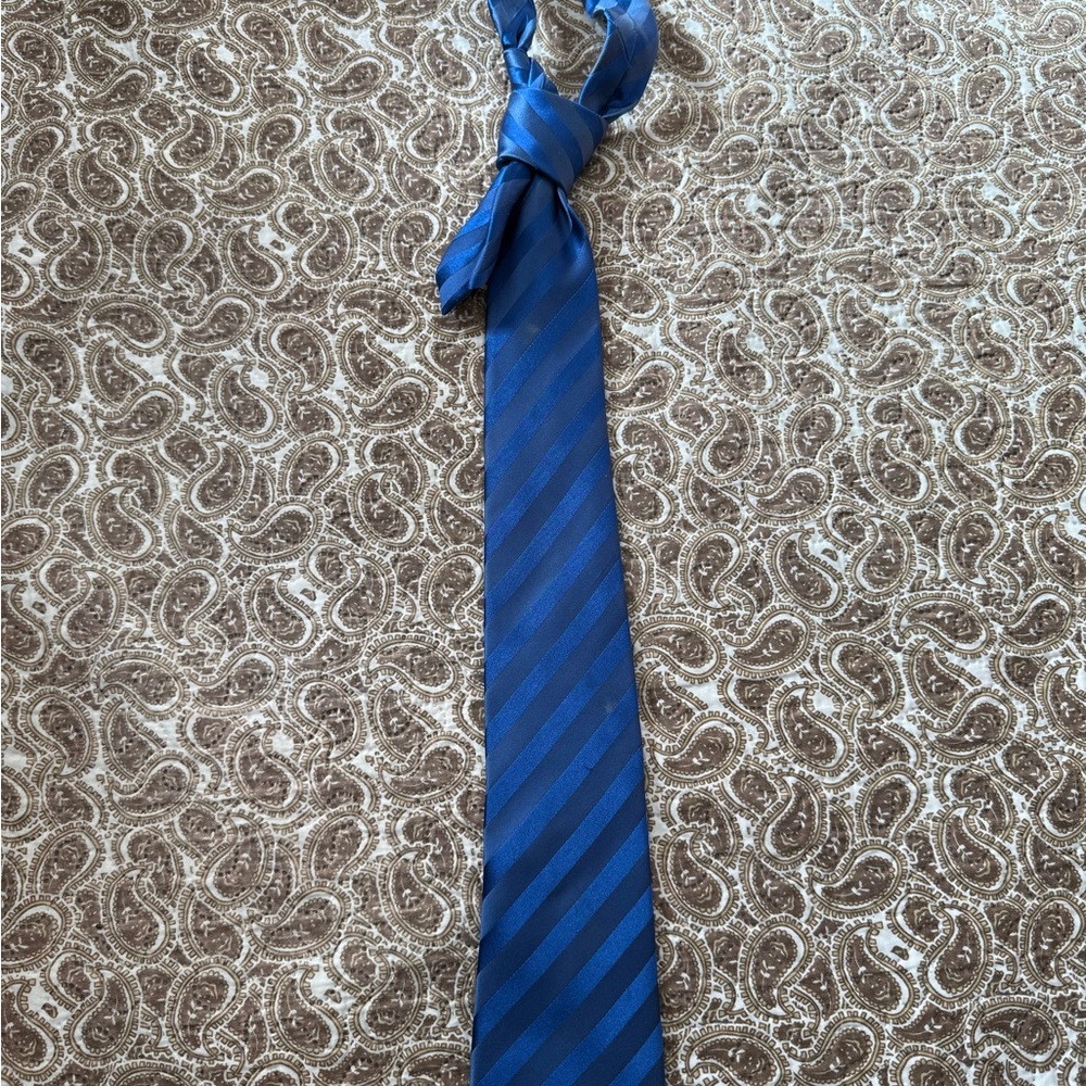 Sean John Deep Blue Diagonal Tie